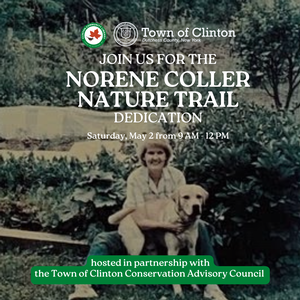 Norene Coller Nature